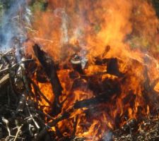 Un beau feu !