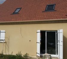 Crépis en cours