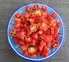 Récolte des carrés potagers