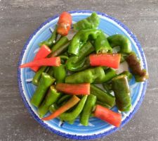 Récolte des carrés potagers