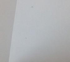 Apparition dans la salle de bain et dans une chambre de vis qui dépasse du placo