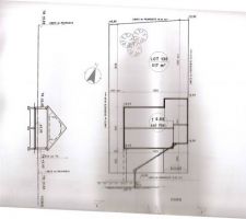 PLAN DE MASSE