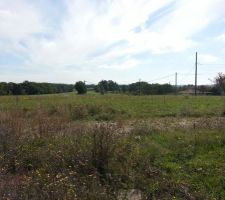 Notre terrain (derri&egrave;re le chemin d'acc&egrave;s)