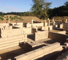 Vide sanitaire toujours, ca avance vite