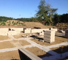 Vide sanitaire toujours, ca avance vite