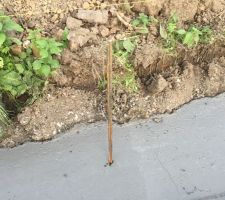 Les piquets sont prêts