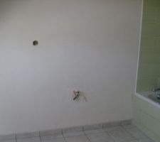 Carrelage et fa&iuml;ences termin&eacute;s sdb