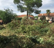 A l'arrière de la photo on peut voir le pin d'environ 15mètres de hauteur , et au milieu du terrain se sont les haies, que nous essayons de défraichir