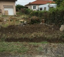 Busage de foss&eacute;, et destruction de murette juste derri&egrave;re on peut voir les restes du magnolia que nous avons coup&eacute;.