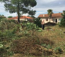 A l'arrière de la photo on peut voir le pin d'environ 15mètres de hauteur , et au milieu du terrain se sont les haies, que nous essayons de défraichir