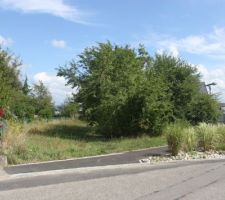 Terrain avec les arbres - Vue SUD-OUEST