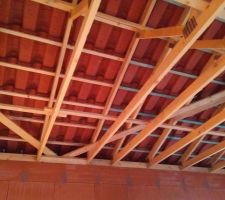 Maison hors d'eau et conduit de fumée posé