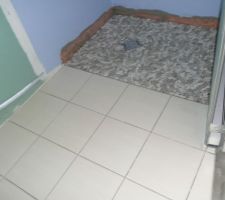 Salle douche parentale