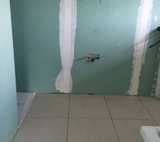 Carrelage sdb parents