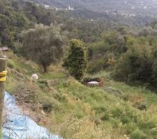 La temp&ecirc;te  &agrave; &eacute;pargn&eacute; mon terrain... mais je dois changer ma b&acirc;che. ..
