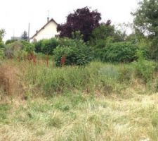 Voici mon beau terrain qui est &agrave; rafraichir :-)
