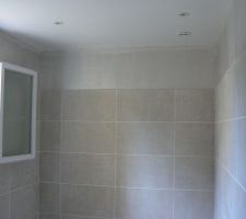 1&egrave;re couche de la peinture salle de bain enfants, r&eacute;sultat tr&egrave;s mauvais!!