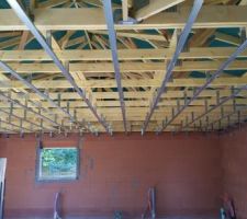 En attendant la livraison des fenêtres, les rails sont fixés au plafond !