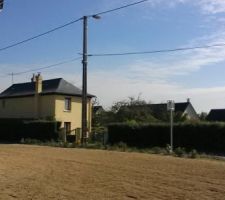 Terrain sem&eacute; et roul&eacute;