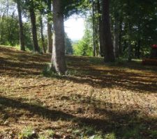 En une matinée :  1er passage du rotavator