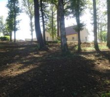 En une matinée :  1er passage du rotavator