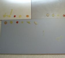 Test de salissure: ketchup, mayonnaise, confiture, huile d'olive, liquide vaisselle, miel, lai et eau