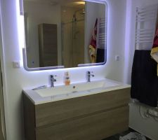 Vasque et miroir de la salle de bain (une tuerie)