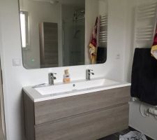 La vasque et miroir de la salle de bain
