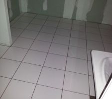 Carrelage Salle de Bain