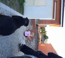 Izy et Emma sages comme des images :)