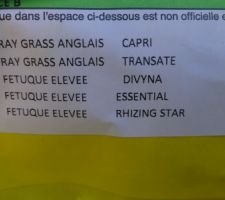 Gazon classique