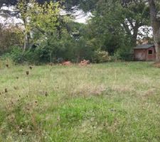 Vue avant / Sud Ouest 2