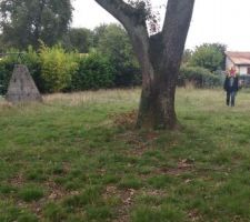 Vue arri&egrave;re / Nord Est