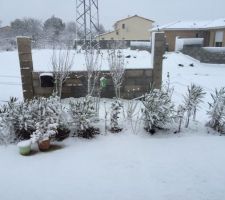 Jardin sous la neige