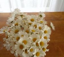 Notre prairie transformée en bouquet