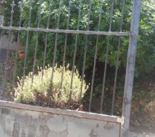Portail