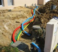 Ouh les jolis serpents multicolores