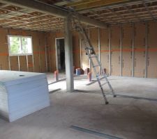 Isolation   rails OK. Arrivée de l'électricien plombier dans une semaine