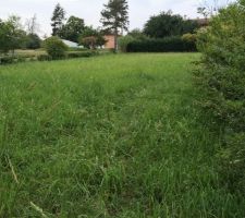 Le terrain de 1400m&sup2; avec 300m&sup2; constructible en haut