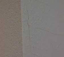 Micro-fissures