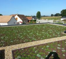 Toiture terrasse végétalisée étanchéité en EPDM (réalisation par nos soins)