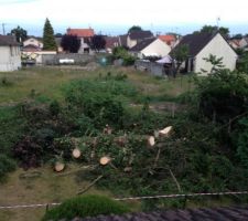 Les arbres coup&eacute;s