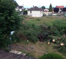 Les arbres coup&eacute;s