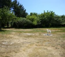 Le verger avant travaux