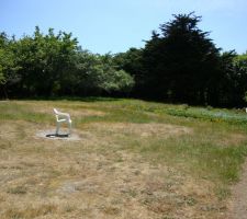 Verger   potager avant travaux