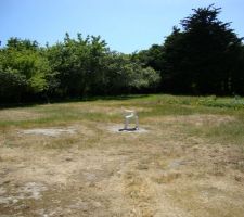 Verger   potager avant travaux