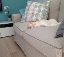 Merlin trouve les canapés très confortable ?