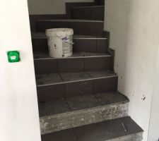 Carrelage escalier