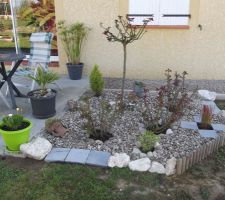 Aménagement floral près de la terrasse, terminé. Les rosiers ont été taillés. Ce sera plus joli au printemps prochain quand l'herbe aura été semée et aura poussé