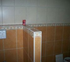 La faïence dans la salle de bains.